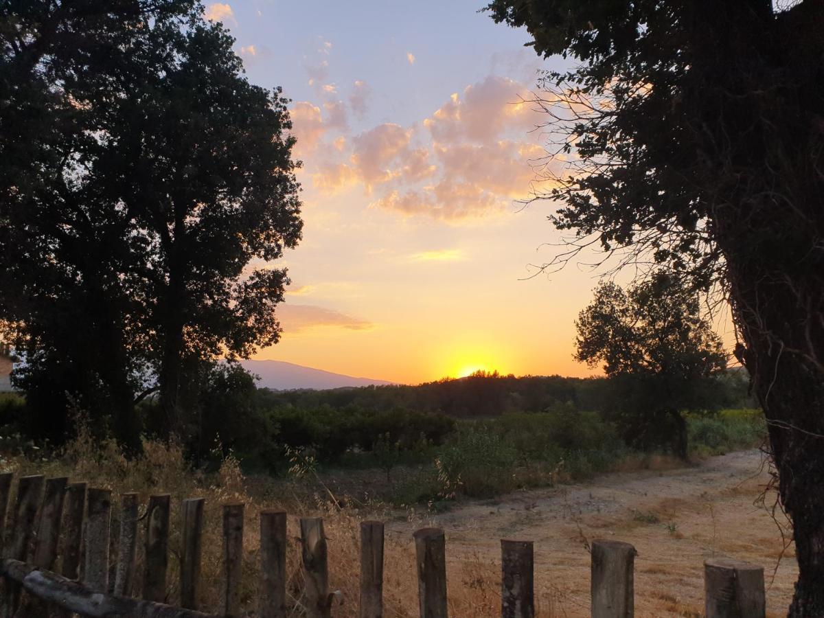 Ferienwohnung Campagna D'Amare Atessa Exterior foto